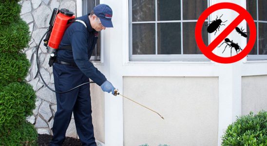 Tatvan Dezenfeksiyon böcek ilaçlama ve haşere kontrolü — ilaclama-tr.com